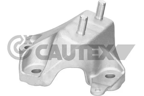Окачване, двигател CAUTEX