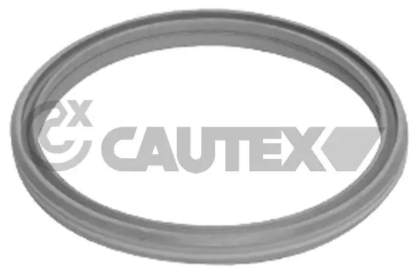 уплътнителен пръстен, турбина CAUTEX              