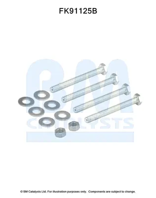 монтажен комплект, катализатор BM CATALYSTS        