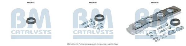 монтажен комплект, катализатор BM CATALYSTS        