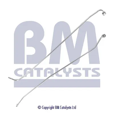 тръбичка, сензор за налягане (филтър за твърди частици) BM CATALYSTS        