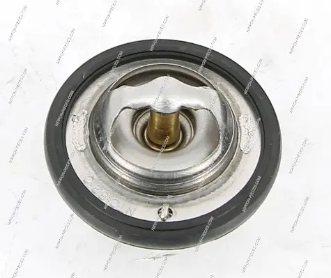 термостат, охладителна течност NPS                 