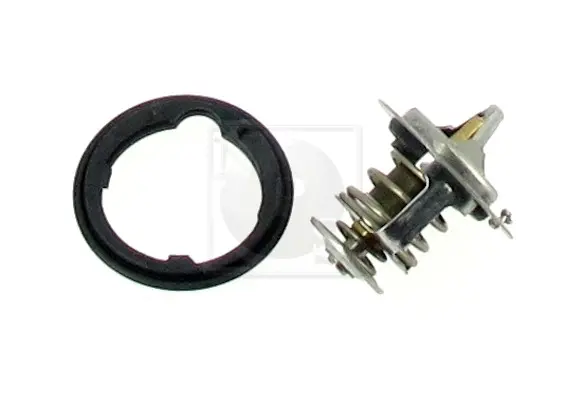 термостат, охладителна течност NPS                 