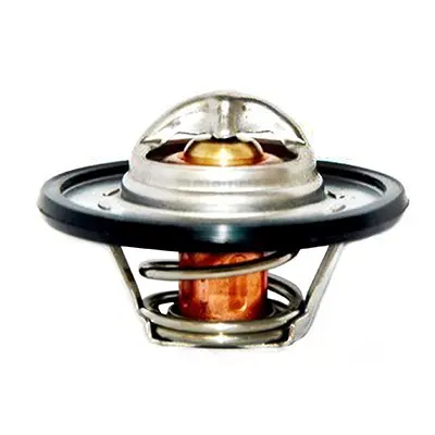 термостат, охладителна течност FISPA               