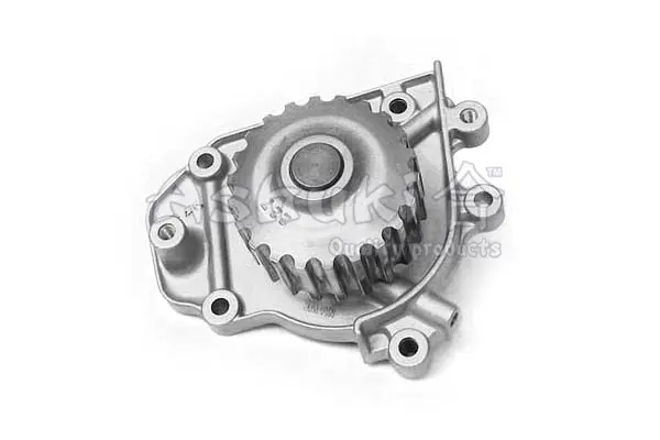 водна помпа, охлаждане на двигателя ASHUKI by Palidium  