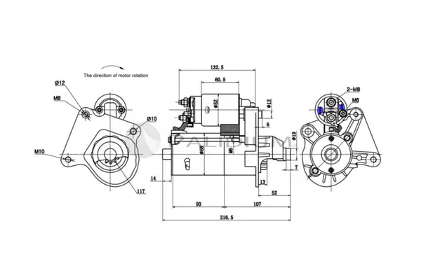 стартер ASHUKI by Palidium  