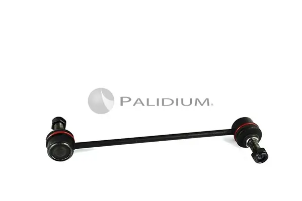 биалета ASHUKI by Palidium  