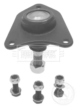 Шарнири BORG & BECK         