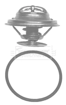 термостат, охладителна течност BORG & BECK         