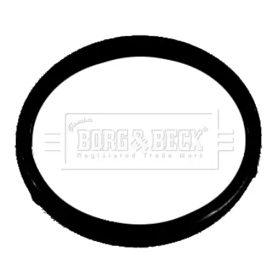 термостат, охладителна течност BORG & BECK         