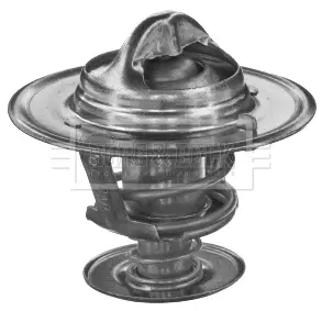 термостат, охладителна течност BORG & BECK         