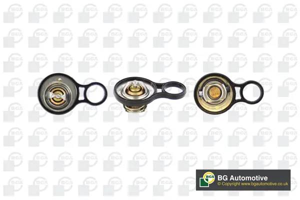 термостат, охладителна течност BGA                 