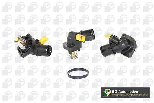 термостат, охладителна течност BGA                 