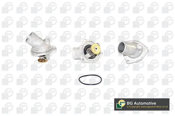 термостат, охладителна течност BGA                 