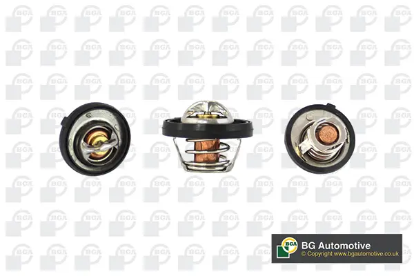 термостат, охладителна течност BGA                 