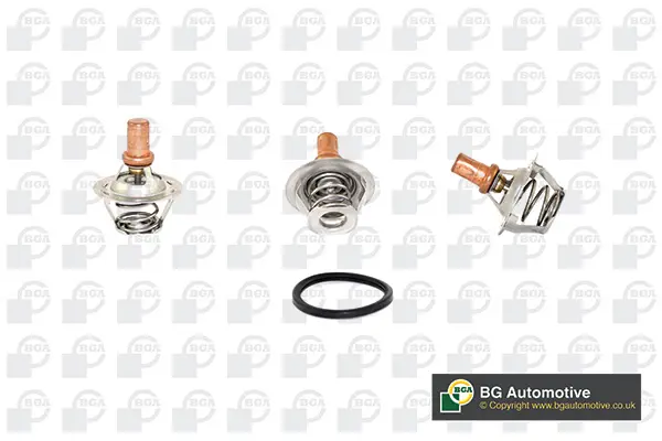 термостат, охладителна течност BGA                 