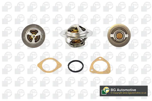 термостат, охладителна течност BGA                 