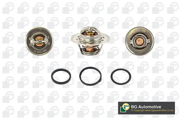 термостат, охладителна течност BGA                 