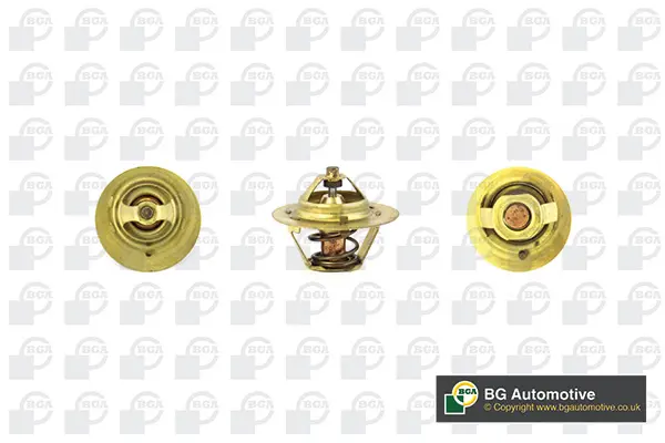 термостат, охладителна течност BGA                 