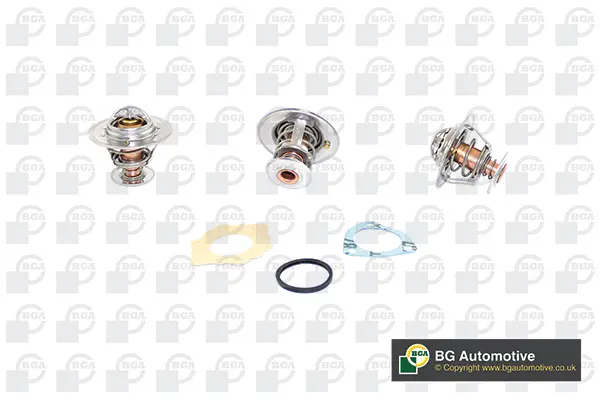 термостат, охладителна течност BGA                 