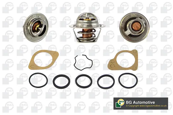 термостат, охладителна течност BGA                 