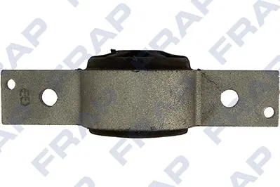 тампон, носач FRAP                