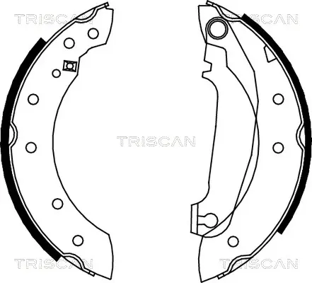 Комплект спирачна челюст TRISCAN