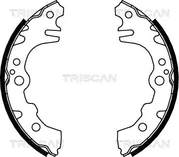 Комплект спирачна челюст TRISCAN