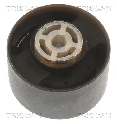 Окачване, двигател TRISCAN
