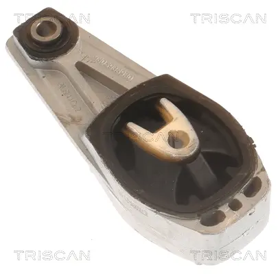 Окачване, двигател TRISCAN
