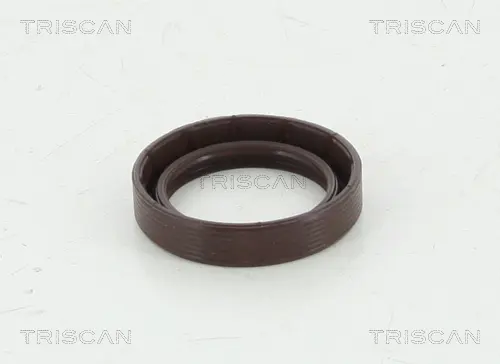 Семеринг, колянов вал TRISCAN