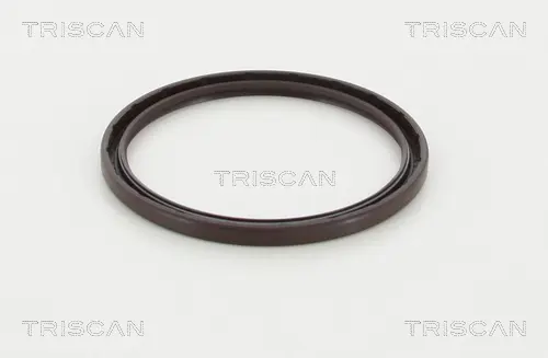 Семеринг, колянов вал TRISCAN