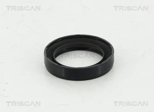 Семеринг, колянов вал TRISCAN