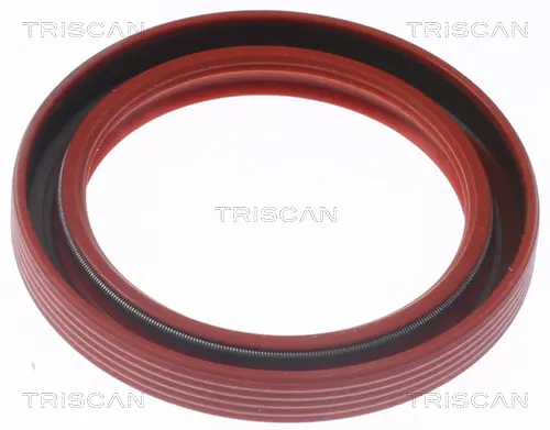 Семеринг, колянов вал TRISCAN