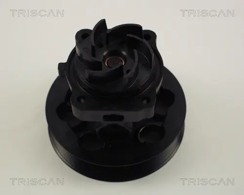 Водна помпа, охлаждане на двигателя TRISCAN