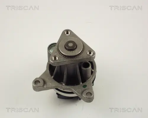 Водна помпа, охлаждане на двигателя TRISCAN