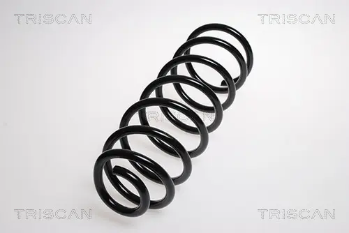 Пружина за ходовата част TRISCAN