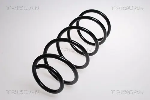 Пружина за ходовата част TRISCAN