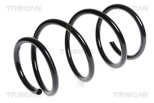 Пружина за ходовата част TRISCAN