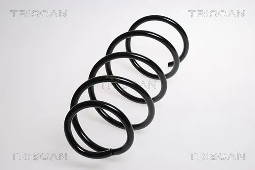 Пружина за ходовата част TRISCAN