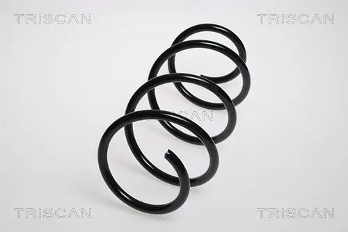 Пружина за ходовата част TRISCAN