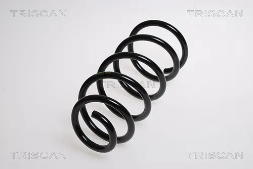 Пружина за ходовата част TRISCAN