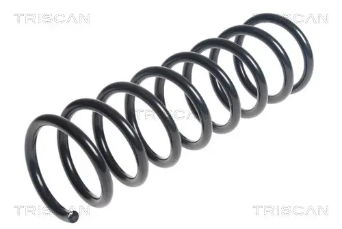 Пружина за ходовата част TRISCAN