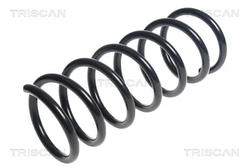 Пружина за ходовата част TRISCAN