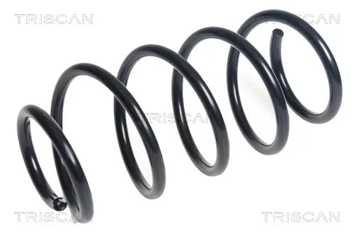 Пружина за ходовата част TRISCAN