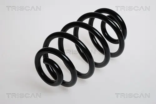 Пружина за ходовата част TRISCAN