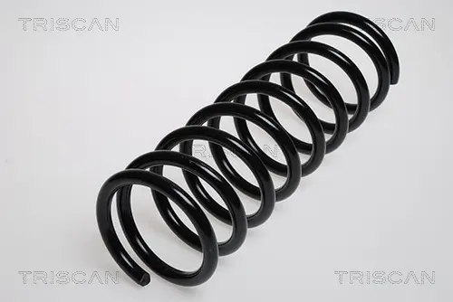 Пружина за ходовата част TRISCAN