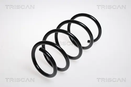 Пружина за ходовата част TRISCAN