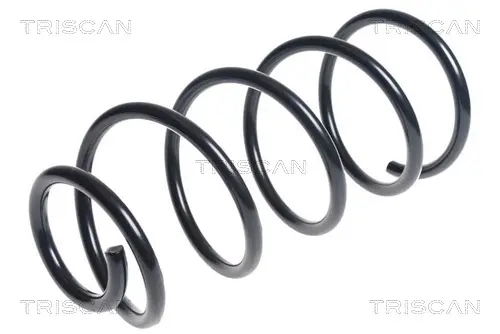 Пружина за ходовата част TRISCAN