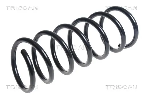 Пружина за ходовата част TRISCAN
